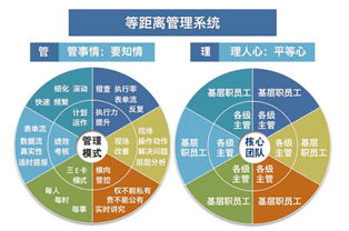 溫州企業管理咨詢 為何朗歐是您駐廠咨詢的卓越之選？